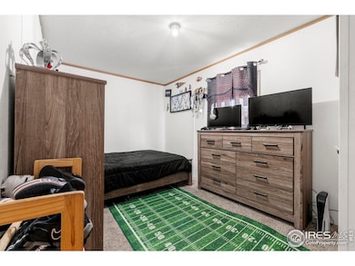 4213 Mesquite Ln, Evans, CO 80620 - photo 4