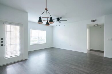 520 Fm 306 unit 4308, New Braunfels, TX 78130 - photo 7