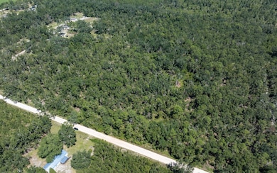 TBD 145th Rd, McAlpin, FL 32062 - photo 5