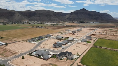 DJI_0353
