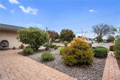 Front Plants home view