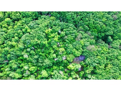 Aerial view of the property, mature trees make it 