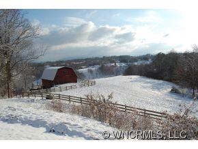 1129 Bear Creek Rd, Leicester, NC 28748 - photo 4