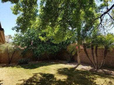 Lush Backyard
