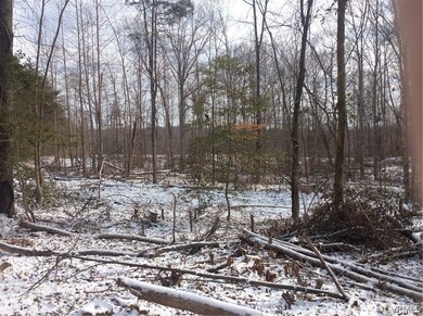 11 Bannister Town Rd, Louisa, VA 23093 - photo 2