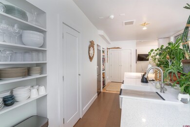 791 W Pacific Ave unit 4- H, Telluride, CO 81320 - photo 3