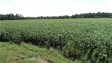 At this time the land is leased and farmed by a local farmer. Build your home back in the woods.