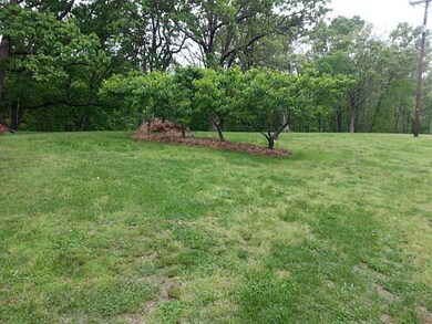 Exterior Front. Trees