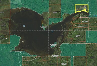 Grass lake aerial 2