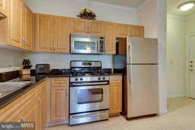 12917 Centre Park Cir unit 215, Herndon, VA 20171 - photo 5