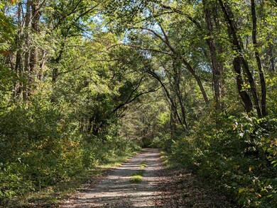 , 244th St, West Creek Township, IN 46376 - photo 4