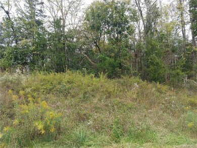 Tract 17 Red Rider Ln, Smyrna, SC 29743 - photo 3