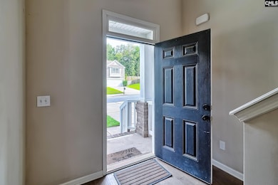 715 Soldier Gray Ln, Chapin, SC 29036 - photo 3