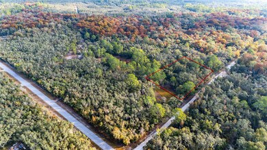 0 Rose Bloom Lot 5 Ave, Webster, FL 33597 - photo 3