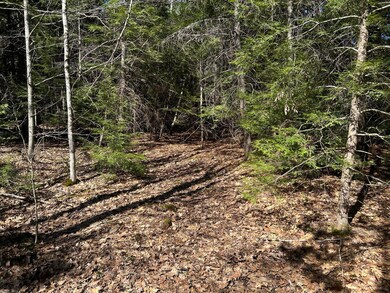 Map34Lot1 West St, Jefferson, ME 04348 - photo 5