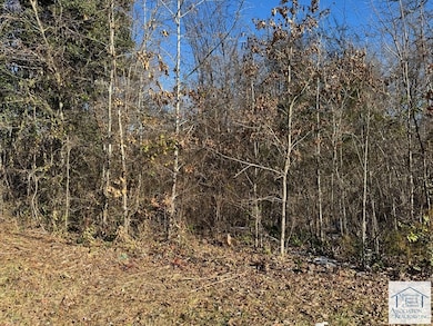 various Dillard St, Martinsville, VA 24112 - photo 2