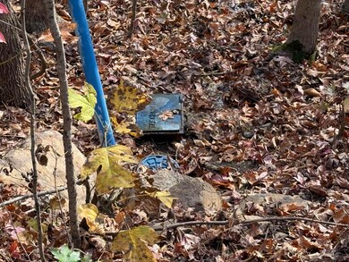 0 Bear Track Way unit 709747, Del Rio, TN 37727 - photo 7