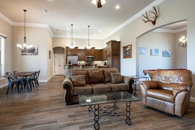 241 Etta Ln, Springtown, TX 76082 - photo 5