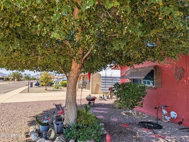 Front Yard Tree