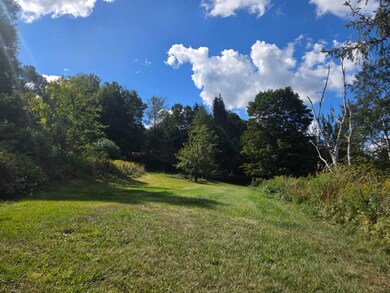 4 Stone Hollow Rd, Fleischmanns, NY 12430 - photo 6