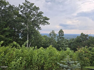 Lot 3 Shell Mountain Rd, Sevierville, TN 37876 - photo 4