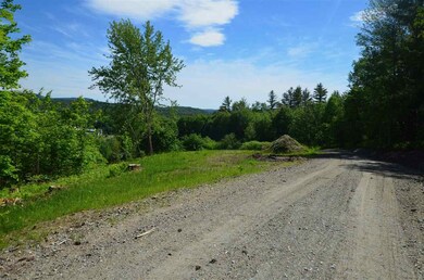 289 Cottage Club Rd unit Lot 3, Stowe, VT 05672 - photo 3