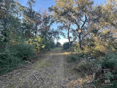 0 Benton Rd unit 387993, Foley, AL 36535 - photo 2