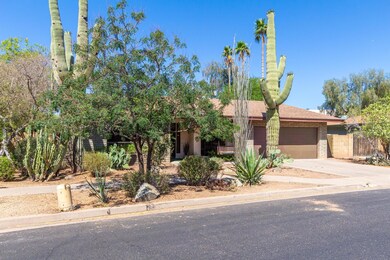 Cholla (3)