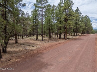 7454 E Robin Hood Rd, Parks, AZ 86046 - photo 6