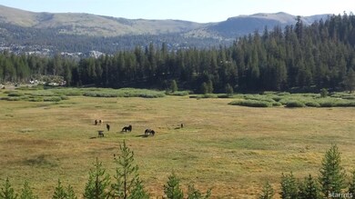 View from across the meadow looking at area of lot. Follow the dark tree line down to left.