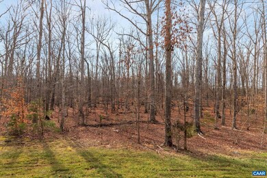 88 Augies Aly, Palmyra, VA 22963 - photo 5