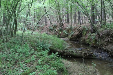 0 Strawberry Rd unit 69143, Chatham, VA 24531 - photo 7