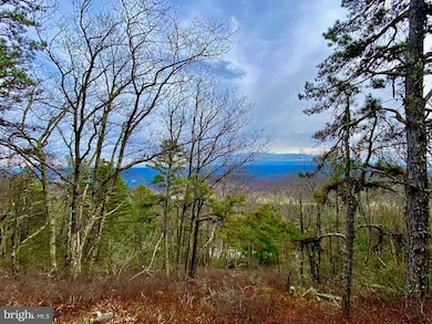 TBD U S Route 33, Franklin, WV 26807 - photo 4