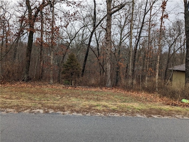 29 Eaton Cir, Bella Vista, AR 72715 - photo 2