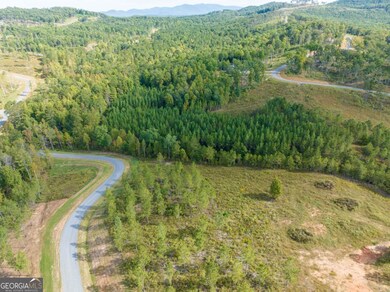 Lot 299 Twisted Oak Rd, Talking Rock, GA 30175 - photo 4