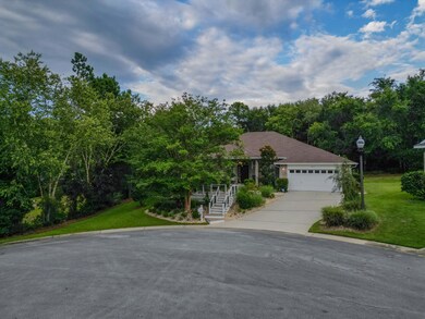 305GreyFoxCir-72