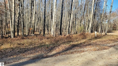 8122 Highland Trail unit 240, Canadian Lakes, MI 49346 - photo 4