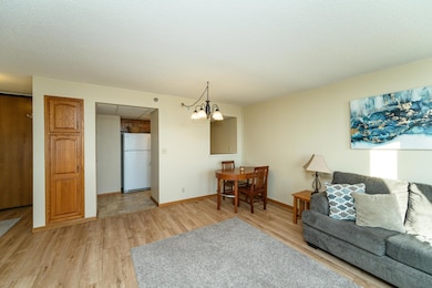 220 Broadway Ave S unit 1112, Rochester, MN 55904 - photo 4