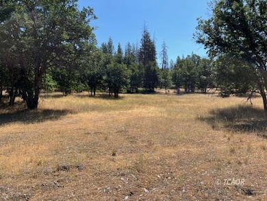 200 Creek Crossing Rd, Hayfork, CA 96041 - photo 3