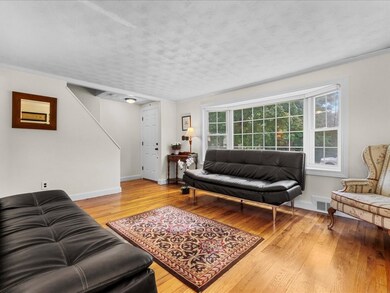 139 Beal Rd, Waltham, MA 02453 - photo 5