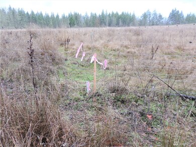 17910 Fennel Rd SE, Yelm, WA 98597 - photo 7