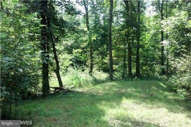 0 Chimney Cir unit 1003196208, Middletown, VA 22645 - photo 2