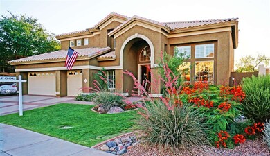 new landscaping