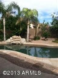 pool and backyard