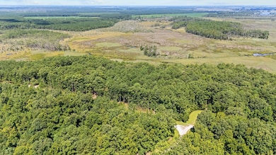 0 Batemans Creek Rd, Pantego, NC 27810 - photo 2