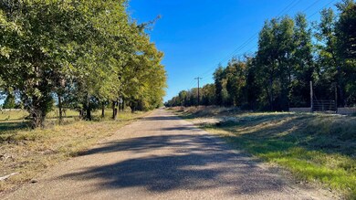 Tbd County Road 276 (16 Acres), Bremond, TX 76629 - photo 4