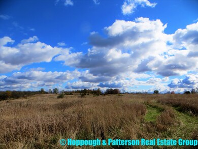 V/L N Jefferson St, Ionia, MI 48846 - photo 4