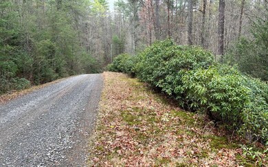 Additional View