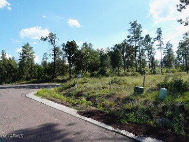 2181 S Ridge Crest Dr unit 6, Show Low, AZ 85901 - photo 3