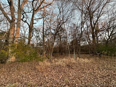 10 Stone Bluff Dr, Tahlequah, OK 74464 - photo 5